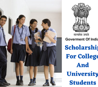 Central Sector Scheme Of Scholarship For College And University Students (NSP)